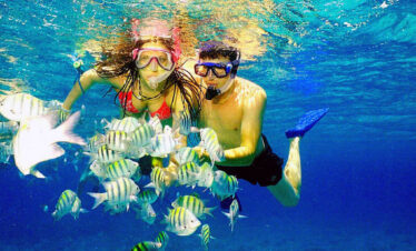 Isla Catalina – Aventura de Buceo y Snorkeling