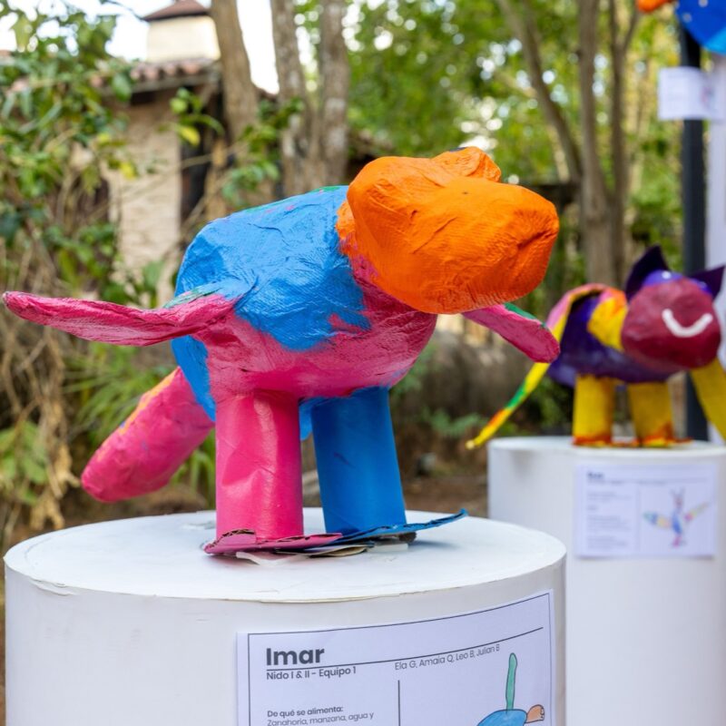 WAO Lab by Kids Create en Altos de Chavón